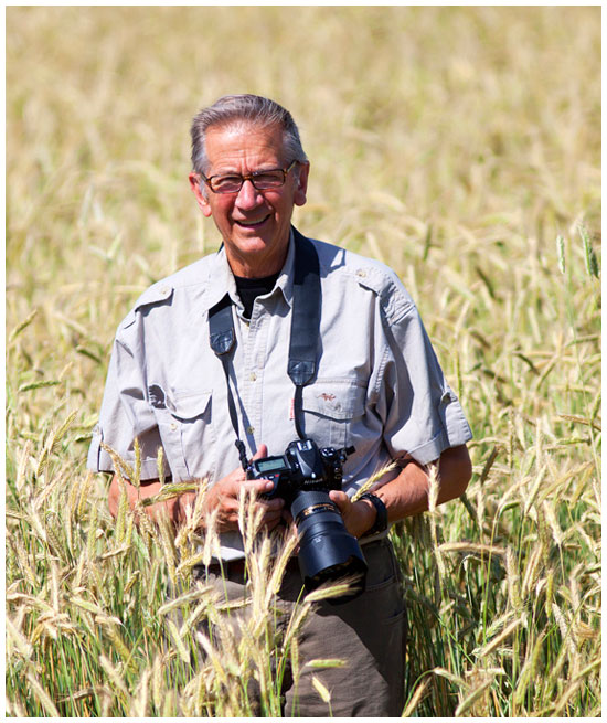 Halle Flygare in Wheat Field