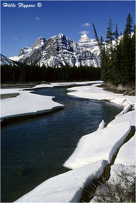 Whirpool River and Whirlpool Peak photography by H&auml;lle Flygare