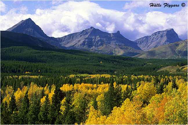 Elk Range and Upper Highwood River Valley  photography by H&auml;lle Flygare