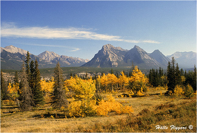 Ram Range and Kootenay Plains Natural Area photography by H&auml;lle Flygare