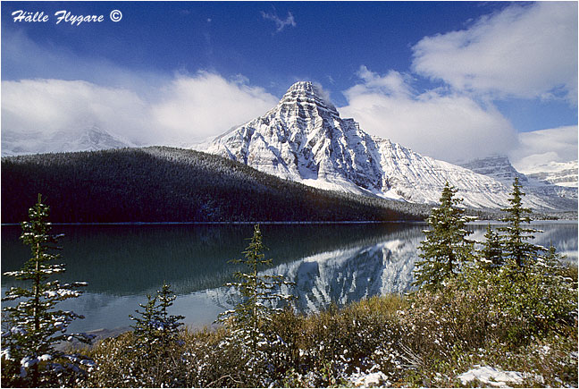 Mount Chephren and Lower Waterfowl Lake  photography by H&auml;lle Flygare