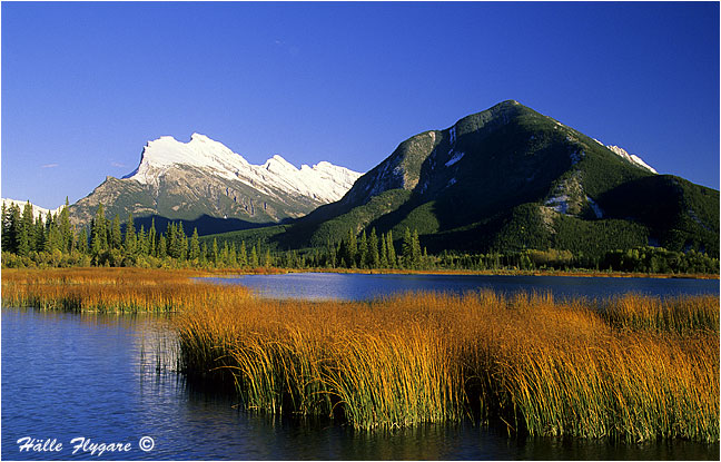 Mount Rundle and Vermilion Lakes  photography by H&auml;lle Flygare