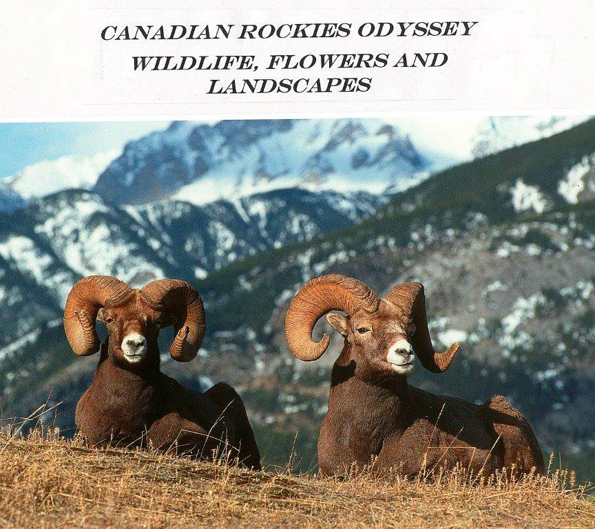 Canadian Rocieis Odyssey y Halle Flybare 2023 